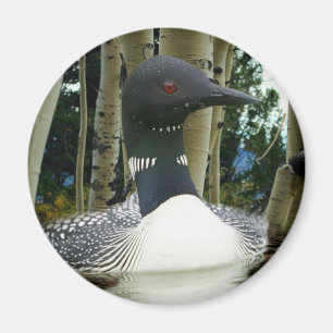 Aimant Loon sauvage