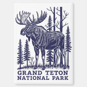 Aimant L'orignal dans le parc national de Grand Teton