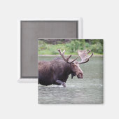 Aimant L'orignal en mission (Recto/Verso)