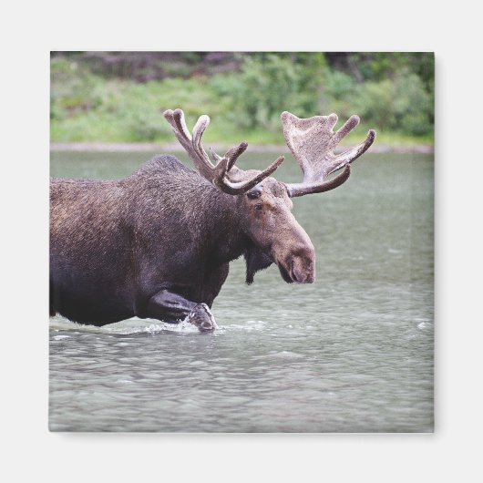 Aimant L'orignal en mission (Devant)