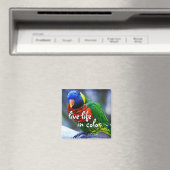 Aimant Lorikeet rouge bleu vert oiseau vie vie couleur (In Situ (Lave-vaisselle))