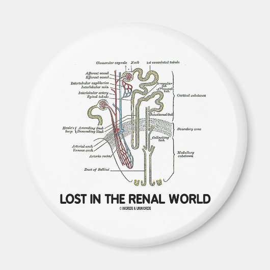 Aimant Lost In the Renal World (Devant)