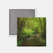 Aimant Lost Man Creek I au Redwood National Park (Recto/Verso)