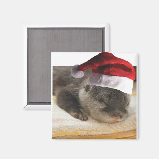 Aimant Lot-dormant (Recto/Verso)