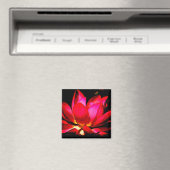 Aimant Lotus (In Situ (Lave-vaisselle))