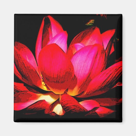 Aimant Lotus (Devant)