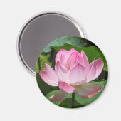 Aimant Lotus Bloom rose (Recto/Verso)