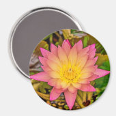 Aimant Lotus Flower of Life (Recto/Verso)