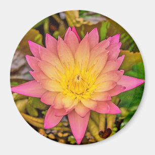 Aimant Lotus Flower of Life