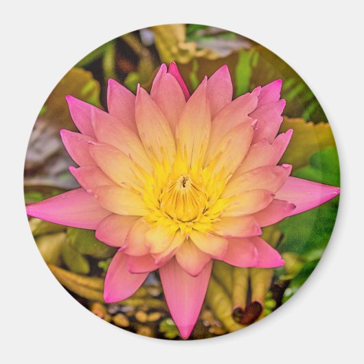 Aimant Lotus Flower of Life (Devant)