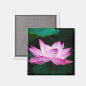 Aimant Lotus rose (Recto/Verso)