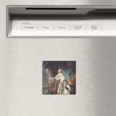 Aimant Louis XVI (In Situ (Lave-vaisselle))