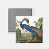 Aimant Louisiana Heron par John James Audubon (Recto/Verso)