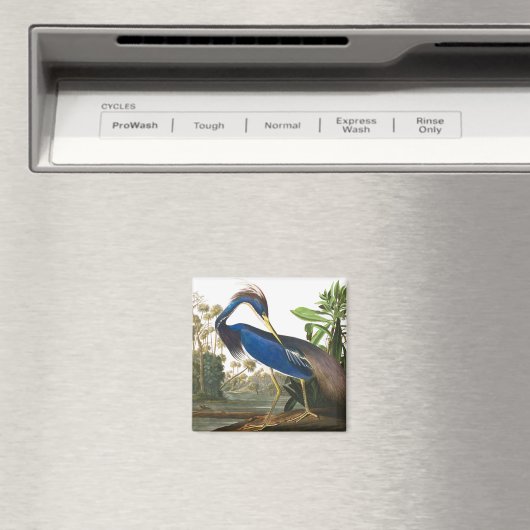 Aimant Louisiana Heron par John James Audubon (In Situ (Lave-vaisselle))