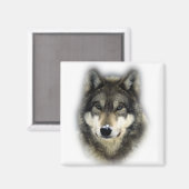 Aimant Loup (Recto/Verso)