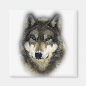 Aimant Loup (Devant)