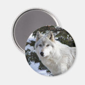 Aimant loup (Recto/Verso)