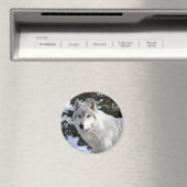 Aimant loup (In Situ (Lave-vaisselle))