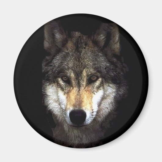 Aimant loup (Devant)