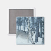 Aimant Loup (Canis lupus) en hiver (Recto/Verso)