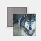Aimant Loup de bois (Recto/Verso)