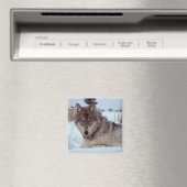 Aimant Loup de Yellowstone (In Situ (Lave-vaisselle))