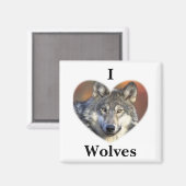 Aimant Loup gris (Recto/Verso)