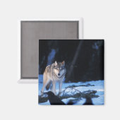 Aimant loup gris, Canis lupus, dans les contreforts (Recto/Verso)