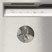 Aimant Loup gris européen (In Situ (Lave-vaisselle))