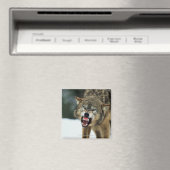 Aimant Loup gris narling (In Situ (Lave-vaisselle))