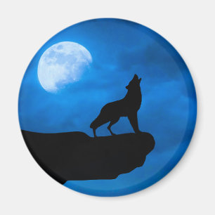 Aimant Loup la nuit