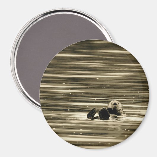 Aimant Loupe de mer (Recto/Verso)