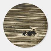 Aimant Loupe de mer (Devant)