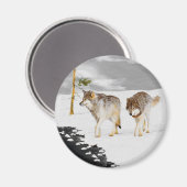 Aimant Loups en peinture sur neige - Art original de la f (Recto/Verso)