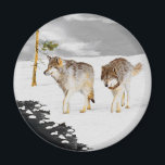 Aimant Loups en peinture sur neige - Art original de la f<br><div class="desc">Loups en portrait de neige, peinture originale. Nous nous spécialisons dans l'art original mignon et drôle. Achetez ceci pour vous-même ou comme un grand cadeau pour vos amis loups amoureux. Soyez créatif - cliquez sur la PERSONNALISER pour ajouter/supprimer/modifier du texte, redimensionner l'image, modifier les couleurs ou tout ce que l'outil...</div>