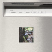 Aimant Loups gris (In Situ (Lave-vaisselle))