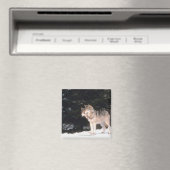 Aimant Loups gris (In Situ (Lave-vaisselle))