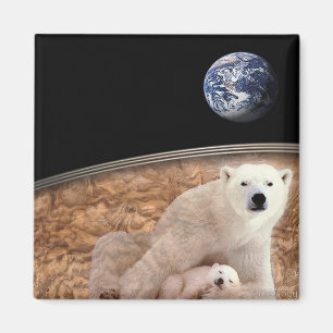AIMANT L'OURS BLANC MERVEILLEUX