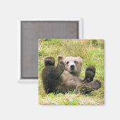 Aimant L'Ours Brown Lazy (Recto/Verso)