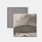 Aimant Loutres de mer, Colombie-Britannique (Recto/Verso)