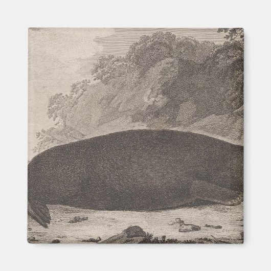 Aimant Loutres de mer, Colombie-Britannique (Devant)