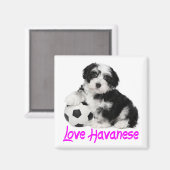 Aimant Love Havanais Chien Chien Chien (Recto/Verso)