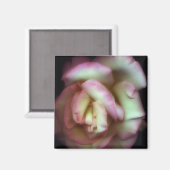 Aimant <Love is a Rose>par Nathan Griffith (Recto/Verso)