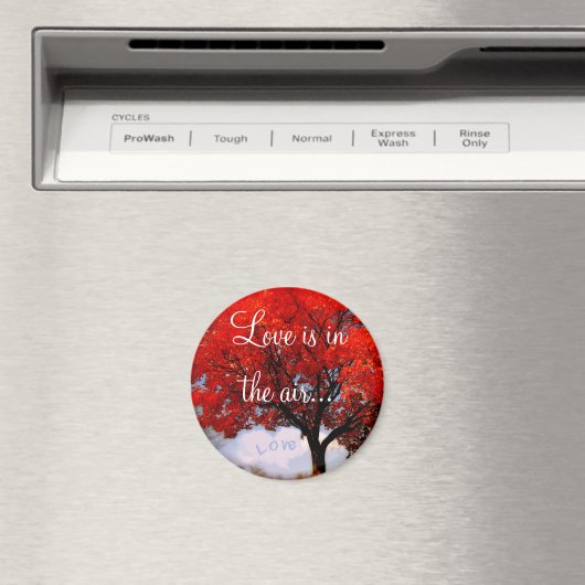 Aimant Love is in the air... (In Situ (Lave-vaisselle))