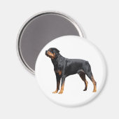 Aimant Love Rottweiler Chien chiot (Recto/Verso)