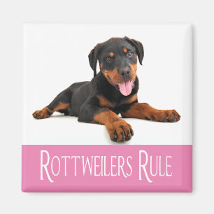 Aimant Love Rottweiler Puppy Dog