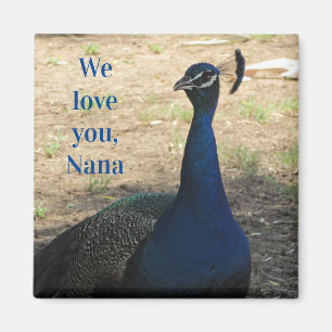 Aimant Love You Nana Blue Bird Feathers Photo Peacock