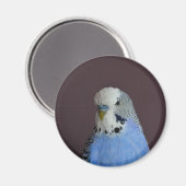 Aimant Lovely Macro Budgie Bird (Recto/Verso)