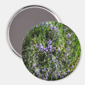 Aimant Loving Lavender..... (Recto/Verso)