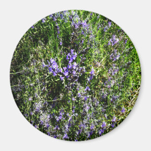 Aimant Loving Lavender.....